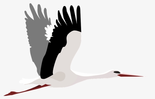 Flying Stork Clipart - Flying Stork Clipart Transparent, HD Png Download, Free Download