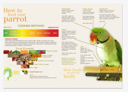 Bird Tricks Feeding Chart, HD Png Download, Free Download