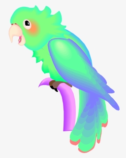 Parrot, Png Download - Macaw, Transparent Png, Free Download