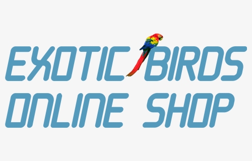 Exotic Birds Online Shop - Hotel Hacienda La Bonita, HD Png Download, Free Download