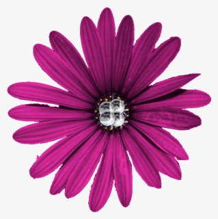 Purple Flower Png High Quality Download - Portable Network Graphics, Transparent Png, Free Download