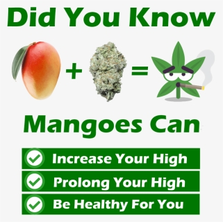 Mangoes Can Increase Your High - Fruit, HD Png Download, Free Download