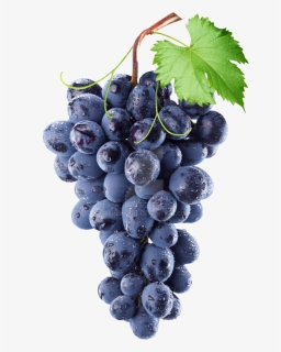 Transparent Grapes Blue - Transparent Background Grapes Png, Png Download, Free Download