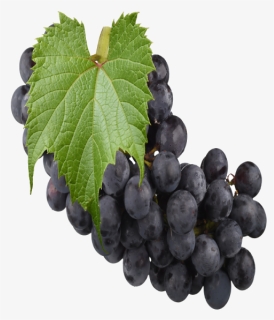 Black Grapes Png, Transparent Png, Free Download