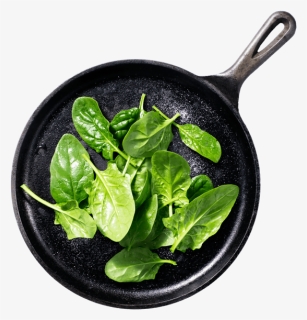 Cooked Spinach Png, Transparent Png, Free Download