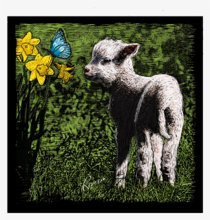 Sheep, HD Png Download, Free Download