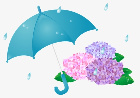Rain Hydrangea Umbrella Clipart - 雨傘 イラスト, HD Png Download, Free Download