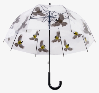 Transparent Umbrella 2 Sided Birds - Parasol Przezroczysty Kot, HD Png Download, Free Download