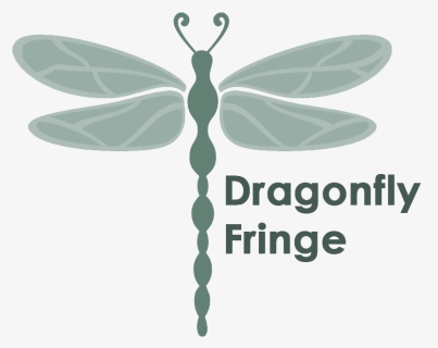 Beaded Fringe, Lamp Trims & Wholesale Fringe By The - Damselfly, HD Png Download, Free Download