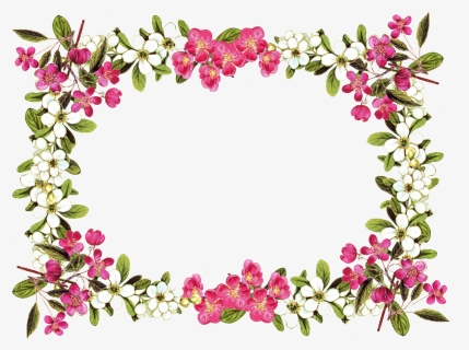 Flower Border Designs Png Photo - Transparent Background Flower Frame, Png Download, Free Download