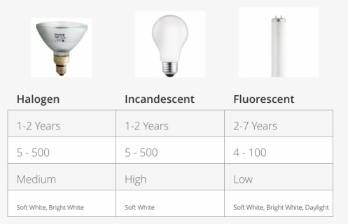 Types Of Bulbs Chart - Fluorescent Lamp, HD Png Download - kindpng