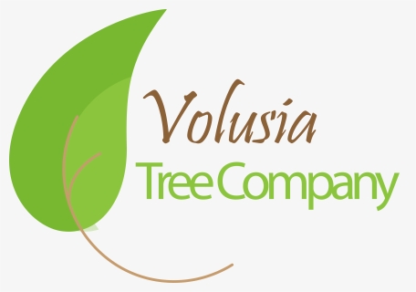 Volusia Tree Company - Calligraphy, HD Png Download, Free Download