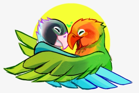 Transparent Bird Bird Beak Parrot Clipart For Animals - Parakeet, HD Png Download, Free Download