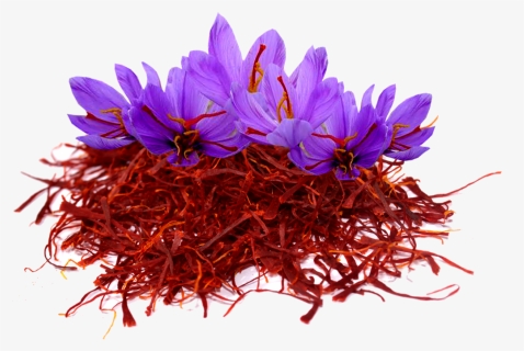 Transparent Crocus Flower Clipart - Saffron Flower Png, Png Download, Free Download