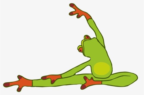 Frog Doing Yoga Clip Art, HD Png Download, Free Download