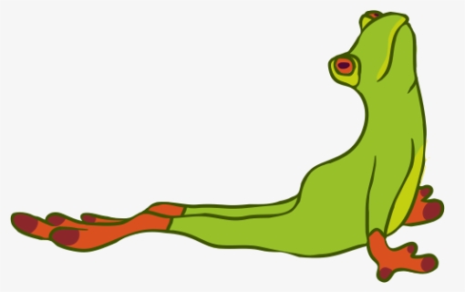 Frog Doing Yoga Clip Art, HD Png Download, Free Download
