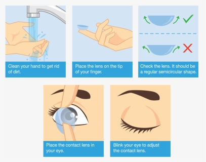 Steps To Wear Contact Lens, HD Png Download, Free Download