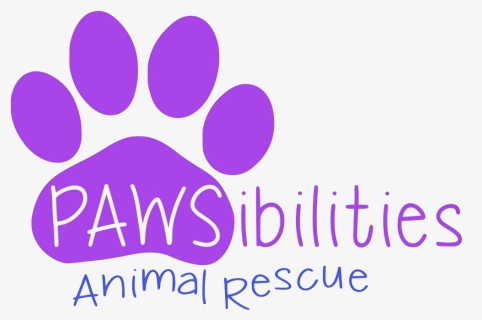 Paws Png, Transparent Png, Free Download