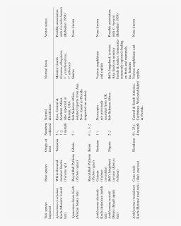 Verb, HD Png Download, Free Download