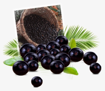 Transparent Acai Berry Png, Png Download, Free Download