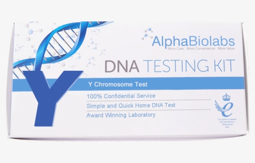 Y Chromosome Test, HD Png Download, Free Download
