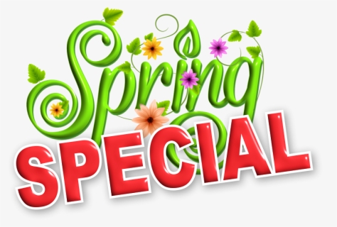 Spring Special, HD Png Download, Free Download