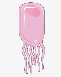 Cellule Ependymaire - Illustration, HD Png Download, Free Download