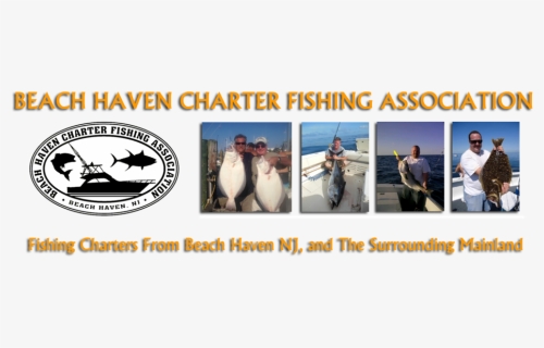 Bhcfa Banner - Beach Haven Charter Fishing Association, HD Png Download, Free Download