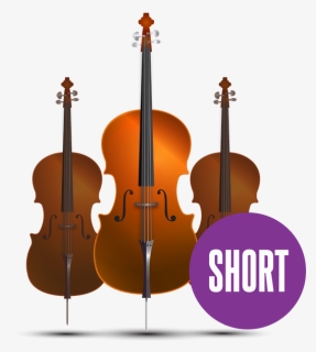 Orchestral Cello Short - Baroque Vs Modern Cello, HD Png Download, Free Download