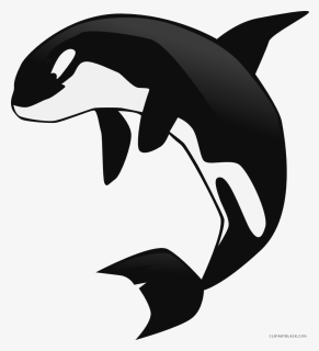 Orca Whale Clipart - Killer Whale Clipart Png, Transparent Png, Free Download
