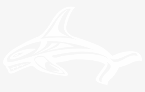 Orca Grey 100% Opacity White, HD Png Download, Free Download