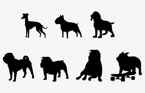Pet Png, Transparent Png, Free Download
