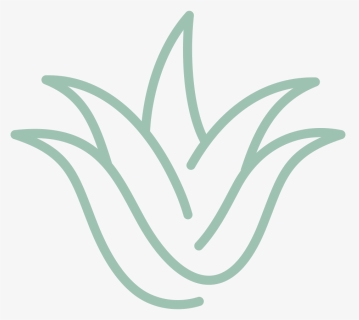 Remedy Pt Logo Aloe Plant - Illustration, HD Png Download, Free Download