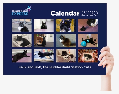 Felix The Huddersfield Station Cat Calendar 2020, HD Png Download, Free Download