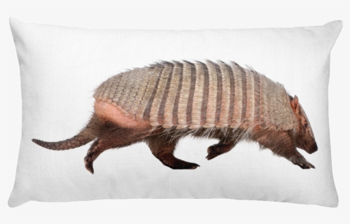 Pillow, HD Png Download, Free Download