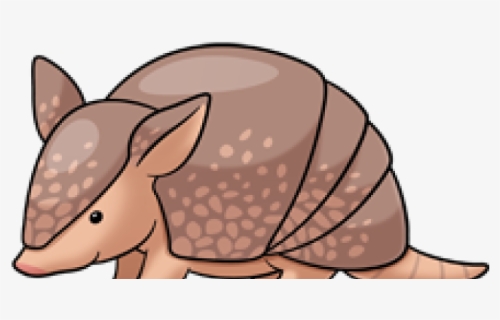 Easy To Draw Armadillo, HD Png Download, Free Download