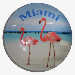 Miami Flamingo G1000-09 Glass Magnet 50mm, HD Png Download, Free Download