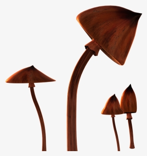 Agaricaceae, HD Png Download, Free Download