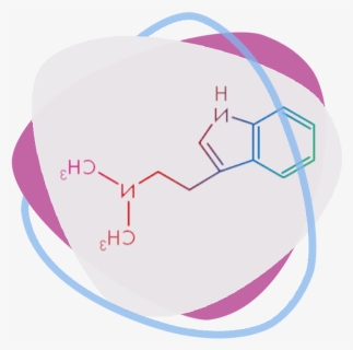 Psychedelics Spirit Molecule - Circle, HD Png Download, Free Download