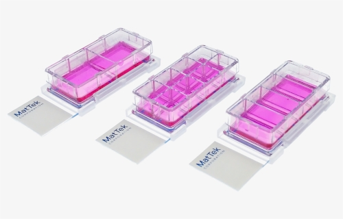 Culture Slides Trio - Slide Chamber Cell Culture, HD Png Download, Free Download