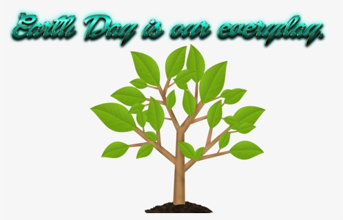 Earth Day Slogans Png Free Pic - Plant A Koala Food Tree, Transparent Png, Free Download