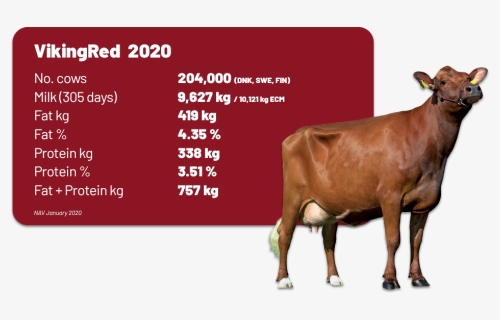 Fertility Goals For Cattle, HD Png Download, Free Download
