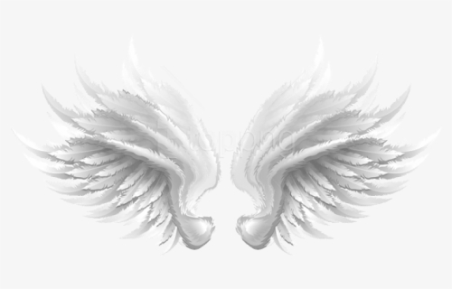 Free Png Download White Wings Transparent Clipart Png - طرح لوگوی علیرضا طلیسچی, Png Download, Free Download