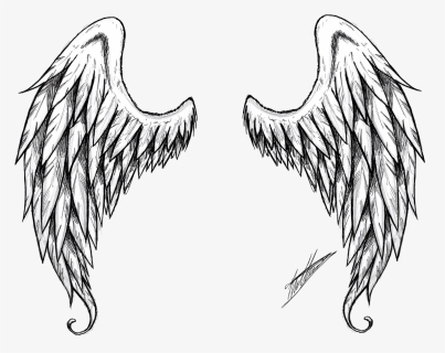 Drawing Clip Art - Realistic Angel Wings Drawing, HD Png Download - kindpng