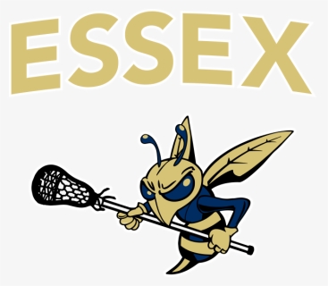 Essex Hs Lacrosse - Csi Compressco Logo, HD Png Download, Free Download