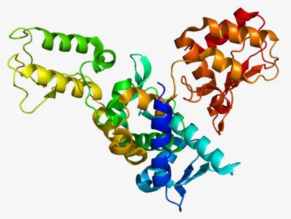 Protein Smurf2 Pdb 1zvd - Smurf Protein, HD Png Download, Free Download