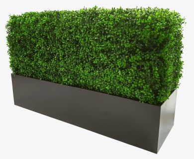 Metal Planter For Artificial Hedges With Boxhood - Transparent Background Box Hedge Png, Png Download, Free Download