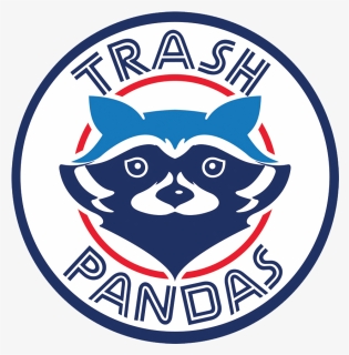 Toronto Trash Panda, HD Png Download, Free Download