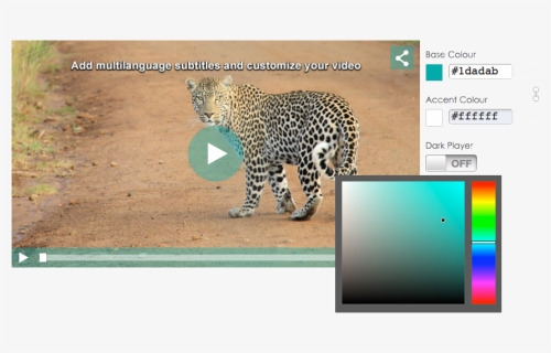 Customizable Video Player - Custom Youtube Video Player, HD Png Download, Free Download