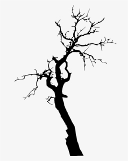 Transparent Background Tree Silhouette Png, Png Download, Free Download